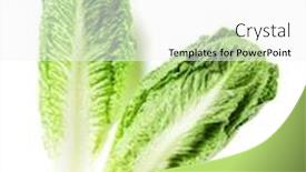  Presentation with lettuce - Slides with romaine-lettuce-salad-isolated background and a white colored foreground