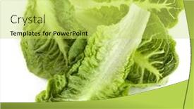  Presentation with lettuce - Amazing presentation theme having romaine or cos lettuce leaves isolated on white backdrop and a yellow colored foreground