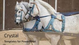  Presentation with roman army - Amazing presentation design having roman chariot in a fight backdrop and a coral colored foreground