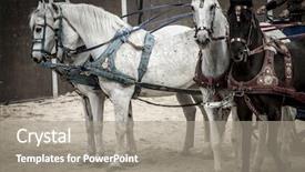  Presentation with gladiators - Audience pleasing presentation theme consisting of roman chariot in a fight backdrop and a gray colored foreground