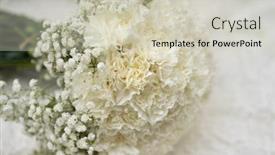  Presentation with romance - Audience pleasing presentation design consisting of romance-round-white-bridal-bouquet backdrop and a soft green colored foreground