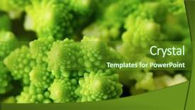  Presentation with cauliflower - PPT layouts enhanced with romanesco cauliflower cut and boiled background and a tawny brown colored foreground