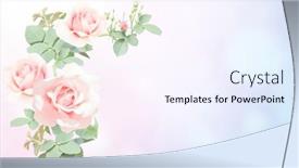  Presentation with blurred flowers - Colorful presentation design enhanced with romantic-blurred-horizontal-background backdrop and a sky blue colored foreground