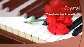  Presentation with romantic - Audience pleasing presentation theme consisting of romantic concept - red carnation backdrop and a tawny brown colored foreground