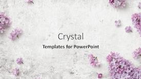  Presentation with mother floral - Presentation theme having romantic-floral-composition-with-loosely background and a white colored foreground