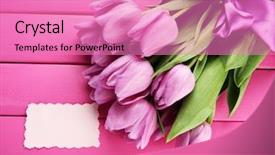  Presentation with romantic gift - PPT layouts enhanced with romantic gift - beautiful bouquet of purple tulips background and a coral colored foreground