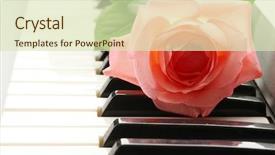  Presentation with animated rose - Audience pleasing slides consisting of romantic music - background of synthesizer keyboard backdrop and a soft green colored foreground