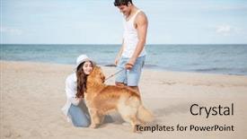  Presentation with sea shore - Audience pleasing PPT layouts consisting of two cute dogs travel - romantic young beautiful couple walking backdrop and a soft green colored foreground