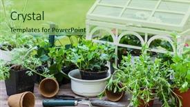  Presentation with agriculture - Presentation design featuring roof agriculture - gardening - plants with flowers background and a mint green colored foreground