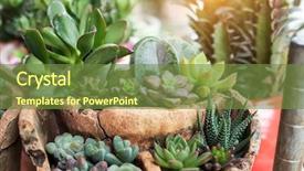  Presentation with succulent - Slides enhanced with roof agriculture - miniature succulent plants background and a tawny brown colored foreground