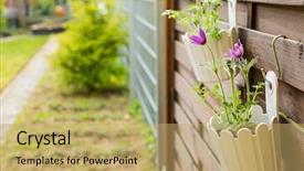  Presentation with outdoor patio - Theme having roof agriculture - outdoor flower pot hanging background and a yellow colored foreground