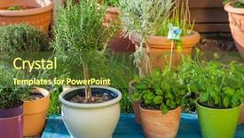  Presentation with outdoor patio - Theme featuring roof agriculture - outdoor flower pots for small background and a tawny brown colored foreground