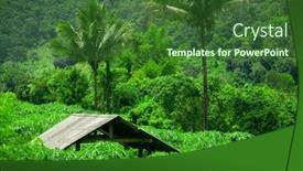  Presentation with hut - 