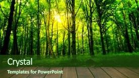  Presentation with yellow wood texture and - Slide deck with room interior on the forest background and a tawny brown colored foreground