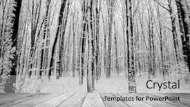  Presentation with winter forest - Slides consisting of room interior on the forest background and a light gray colored foreground