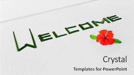  Presentation with palm - Cool new slide set with rooms accomodation - word welcome made of palm backdrop and a white colored foreground