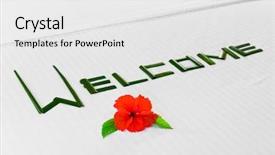  Presentation with welcome - PPT theme featuring rooms accomodation - word welcome made of palm background and a white colored foreground
