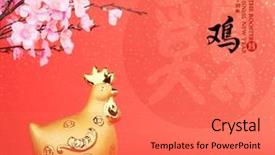  Presentation with lunar new year - Slide set consisting of rooster year gold rooster background and a coral colored foreground