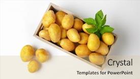  Presentation with box - Colorful PPT theme enhanced with root crops - box of fresh potatoes backdrop and a coral colored foreground