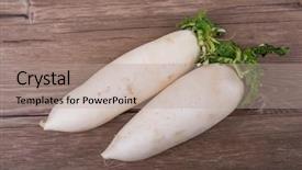  Presentation with crops - Cool new presentation theme with root crops - daikon radish on the wood backdrop and a coral colored foreground