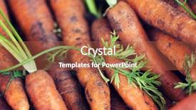  Presentation with farming food waste - Presentation design consisting of root crops - farming harvest food vegetables background and a red colored foreground