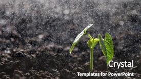  Presentation with root - Beautiful presentation featuring root crops - green seedling growing backdrop and a dark gray colored foreground