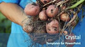  Presentation with root plant - Presentation design having root crops - man holding potato plant background and a ocean colored foreground