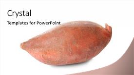  Presentation with sweet potato - Beautiful slides featuring root crops - ripe sweet potato on white backdrop and a white colored foreground