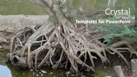  Presentation with village india - Cool new presentation design with root-of-a-tree-growing backdrop and a gray colored foreground