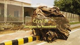  Presentation with tree root - Audience pleasing presentation theme consisting of root of an uprooted tree at the roadside new delhi india backdrop and a tawny brown colored foreground