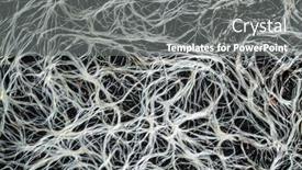  Presentation with root - PPT theme enhanced with root-system-of-plants background and a gray colored foreground