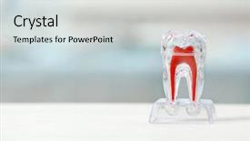  Presentation with artificial neural networks in medic al - Theme having roots - artificial tooth model on table background and a sky blue colored foreground