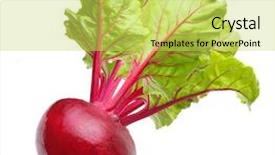  Presentation with beetroot - Audience pleasing slide set consisting of roots - beetroot with leaves fresh whole backdrop and a yellow colored foreground