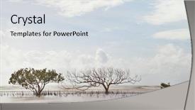  Presentation with tree roots - Colorful presentation design enhanced with hand holding smartphone showing against cute woman smiling at camera with her boyfriend backdrop and a gray colored foreground