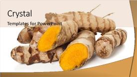  Presentation with turmeric - Colorful PPT theme enhanced with roots heap of turmeric rhizome backdrop and a coral colored foreground