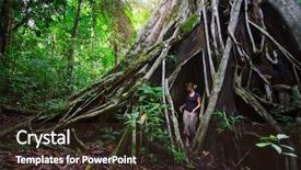  Presentation with tree roots - Presentation design with roots of a big tree background and a tawny brown colored foreground