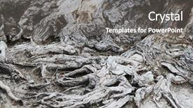  Presentation with tree roots - Slides enhanced with roots of an old tree background and a gray colored foreground