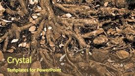  Presentation with tree roots - Beautiful PPT layouts featuring roots of an old tree backdrop and a tawny brown colored foreground