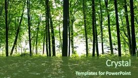  Presentation with abstract green forest - Cool new presentation with roots tree - beautiful green forest backdrop and a tawny brown colored foreground