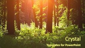  Presentation with mountains forests green forest - Beautiful PPT theme featuring roots tree - beautiful green forest backdrop and a tawny brown colored foreground