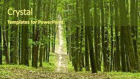  Presentation with beautiful green - Presentation theme having roots tree - beautiful green forest background and a tawny brown colored foreground