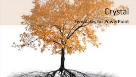  Presentation with tree root - Amazing presentation theme having roots tree - golden fall oak with root backdrop and a yellow colored foreground