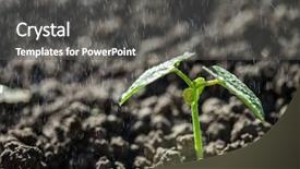  Presentation with tree roots - Presentation design featuring roots tree - green seedling growing background and a dark gray colored foreground