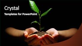 Presentation with black hands - PPT layouts consisting of roots tree - hands holding plant in soil background and a black colored foreground
