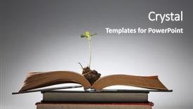  Presentation with young plant - Presentation having roots tree - young plant growing background and a gray colored foreground