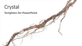  Presentation with tree roots - Amazing PPT theme having roots tree backdrop and a white colored foreground