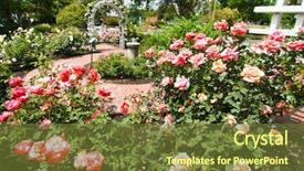  Presentation with gardens - Theme featuring rosa parks - luther burbank gardens background and a tawny brown colored foreground