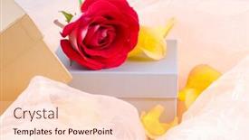  Presentation with gifts - Cool new slide deck with rose and boxes with gifts backdrop and a lemonade colored foreground