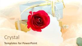  Presentation with gifts - Slides enhanced with rose and boxes with gifts background and a cream colored foreground