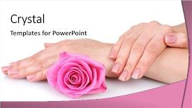  Presentation with hand holding flowers - Beautiful slide set featuring rose and hands isolated backdrop and a white colored foreground